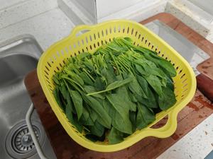 菠菜拌金针菇2590.jpg