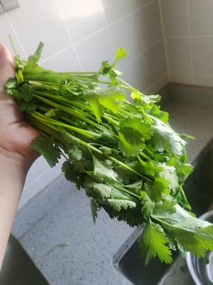 老虎菜•家常拌菜•凉菜2789.jpg